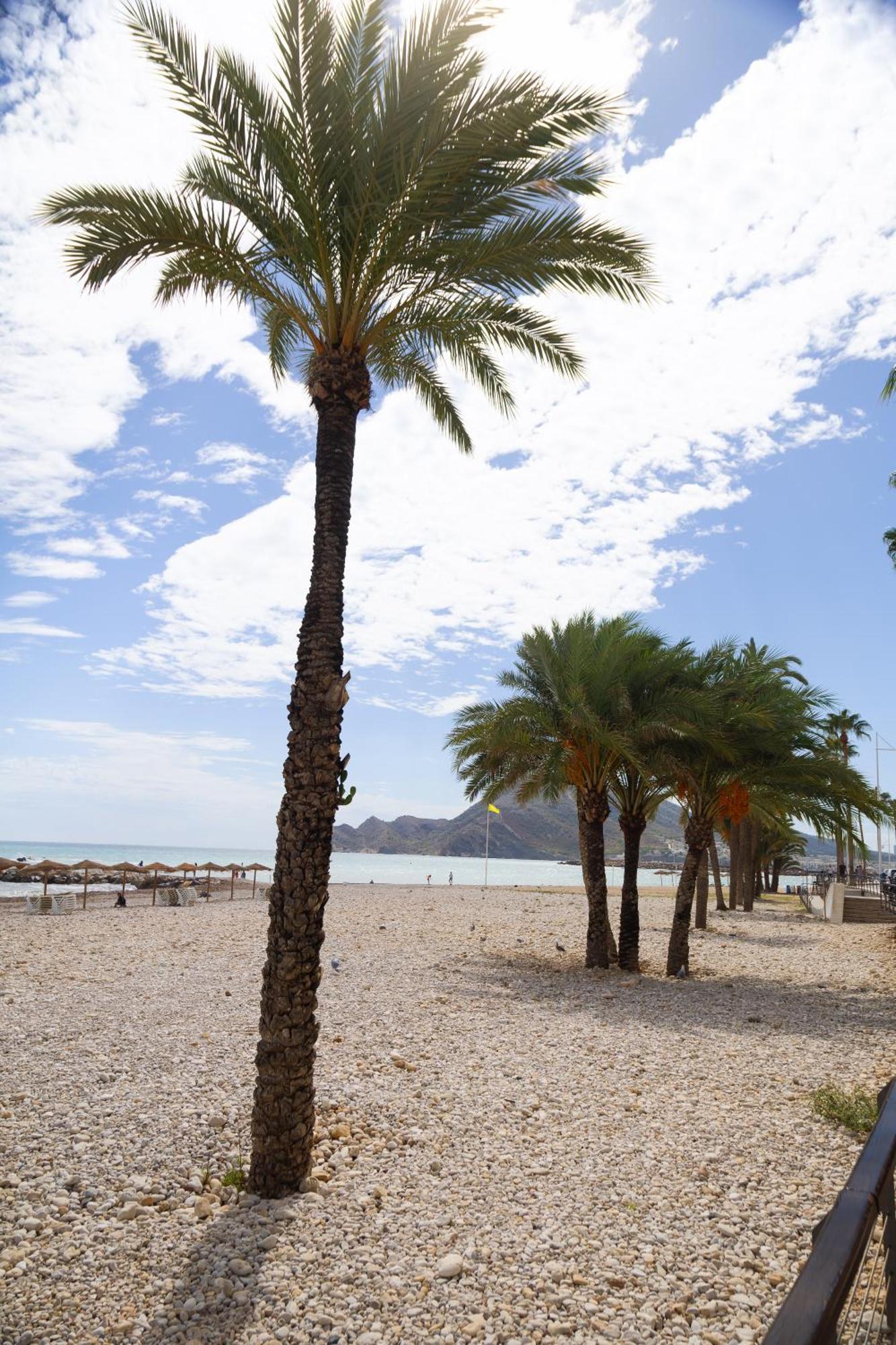 El Toro Apartments Altea Bagian luar foto